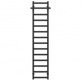 Полотенцесушитель водяной Nicolе П14 300х1600 Deffi Черный (A.NI.160.30.14.B.B)