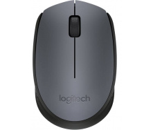 Мышь Logitech Wireless Mouse M170 Grey (6273019)