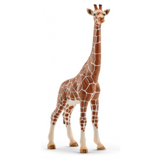 Игровая фигурка Schleich Жирафа самка 90х42х172 мм (6834233)