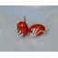 Серьги из серебра Sil с золотом 149s-6 Красный (Sil-1105) Братське