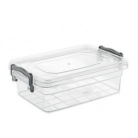 Контейнер Violet House 0458 Family Box 0.65 л (6768546)