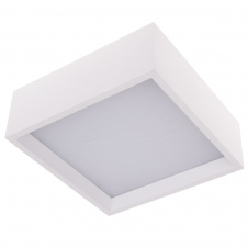 Светильник настенно-потолочный Brille 20W WBL-22 Белый