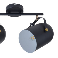 Светильник спот Brille Металл 40W HTL-209 Черный 26-796 Молочанськ