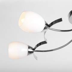 Люстра потолочная Brille 40W E14 Хром Ладан