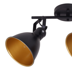 Светильник потолочный Brille 60W HTL-302 Черный Васильков