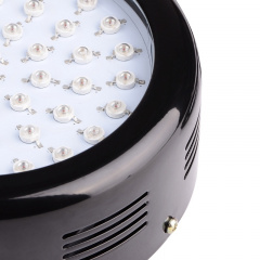 Бра LED фито для растений Brille 50W LED-46 Черный Ковель