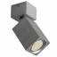 Подсветка Brille Металл 50W AL-80 Серебристый 26-812 Вишгород