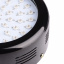 Бра LED фито для растений Brille 50W LED-46 Черный Ковель