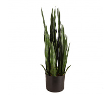 Искусственное растение Engard Sansevieria, 65 см (DW-10)