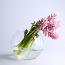 Фото - Ваза-акваріум Pasabahce Куля Botanica h-16 см 45068 Ваза-акваріум Pasabahce Куля Botanica h-16 см 45068