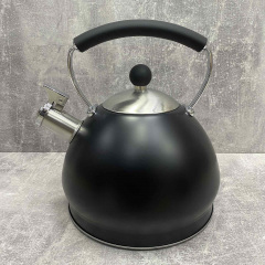 Чайник із нержавіючої сталі 3 л чорний Ardesto Black Mars AR0748KS Буча