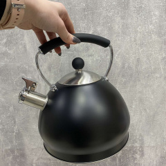 Чайник із нержавіючої сталі 3 л чорний Ardesto Black Mars AR0748KS Буча