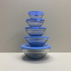 Набор стеклянных емкостей для хранения с крышками 5 шт A-PLUS 0120 Львов