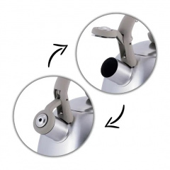 Чайник зі свистком 2 л Kamille KM-0693GR Київ