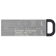 Flash Drives Kingston DataTraveler Kyson 64GB USB 3.2 (DTKN/64GB) Silver/Black (6622888) Херсон