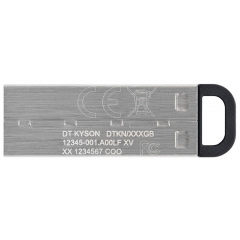 Flash Drives Kingston DataTraveler Kyson 128GB USB 3.2 (DTKN/128GB) Silver/Black (6622889) Полтава