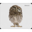Килимок для миші Defender Wild (50803) (6287447) Луцьк