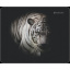 Килимок для миші Defender Wild (50803) (6287447) Луцьк