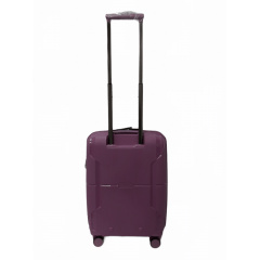 Чемодан дорожный Малый (S) под Ручную кладь Полипропилен Airtex 245 40л 55x39,5x20см Сиреневый Кропивницкий