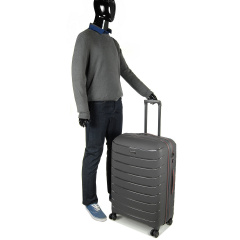 Чемодан дорожный Snowball 61303 Cologne L 92,5 л 75х49x28 см Серый Чернигов