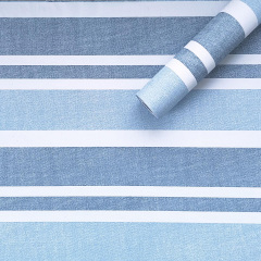 Самоклеюча плівка Sticker Wall SW-00001216 Небесно-блакитна 0,45х10м Токмак