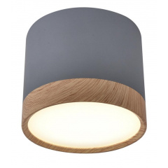 Точковий світильник Candellux Tuba Сірий (2275925) Ірпінь