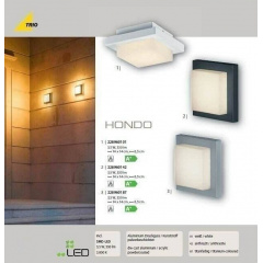 Настінний вуличний світильник TRIO HONDO 228960142 Павлоград