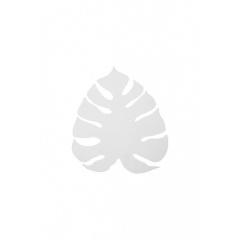Настенный светильник MONSTERA LED WH TK-Lighting 1354 Лозовая