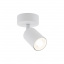 Точковий світильник TK Lighting TOP Білий (TK6197) Ізюм