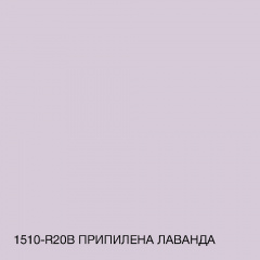 Фарба Акрил-латексна Фасадна Skyline 1510-R20B Припилена лаванда 10 л Ізмаїл