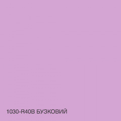 Фарба Інтер'єрна Латексна Skyline 1030-R40B Бузковий 1л Луцьк