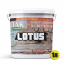 Лак акриловый для минеральных поверхностей Мокрый камень Lotus прозрачный 1л Харьков