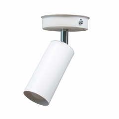 Светильник в стиле лофт MSK Electric Tube спот с поворотным механизмом NL 1105-1 W Черкассы