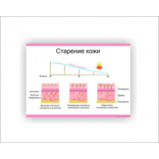 Плакат Vivay Старіння шкіри 30 х 40 см Білий