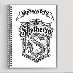 Блокнот Beauty Special А6 Harry Potter Slytherin (9929) Кропивницький
