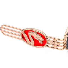 Солнцезащитные очки Dragon Vintage BR33668 Berkani Луцк