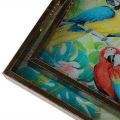 Комплект підносів Parrots 40х30 см із 2 штук Lefard AL121002 Харків