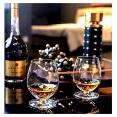 Набор бокалов для коньяка RCR Alkemist 530 мл 6 шт. (26975020006) Тернополь