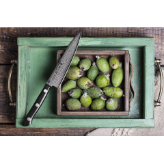 Ніж кухонний універсальний 135 мм Tojiro Basic Damascus (F-333) Тернопіль