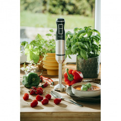 Погружной блендер Adler AD 4628 Steel/Black Ивано-Франковск