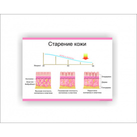 Плакат Vivay Старіння шкіри 30 х 40 см Білий