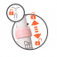Детский велосипед металлический Smoby OL82813 Би Муви 2в1 Pink Тернополь