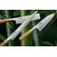 Нож кухонный Накири Usuba 167 мм Suncraft MU Bamboo (MU-08) Первомайск