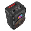 Караоке колонка с микрофоном HOCO BS46 и радио BT5.0 Black Чернигов