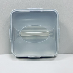 Тортівниця Dunya Plastik 30308 35х35х10 см 22487 Краматорськ