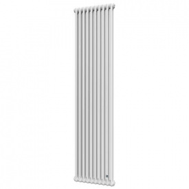 Трубчастий радіатор DeLonghi Multicolumn 2000 2 колони 10 секцій RAL9016 (0Q0022000100000)