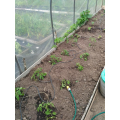 Теплица "Косичка" 2 х 8 м (труба оцинкованая 20х20), полный комплект "Премиум", пленка UV-6, 150 мкм. Днепр