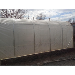 Теплица "Даринка" 2х6м, труба 20х20мм с пленкой 120 мкм Королёво