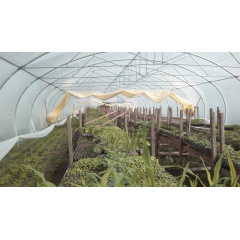 Каркас теплицы "Округлая 10х60" размером 10х60х4.3м Лубны
