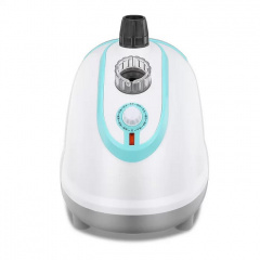 Отпариватель для одежды вертикальный RAF R.3039 1800W (3_03916) Кременчуг